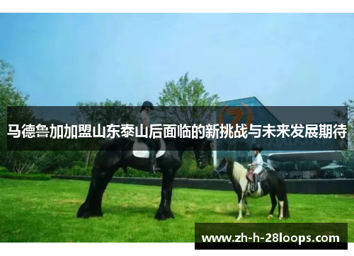 马德鲁加加盟山东泰山后面临的新挑战与未来发展期待